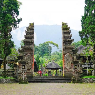 Escursione tour giornaliero Bali Indonesia